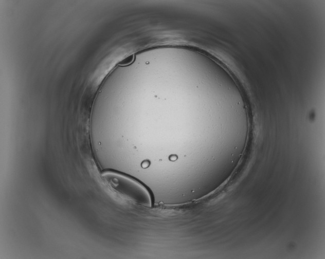 X0000116661289200912291629