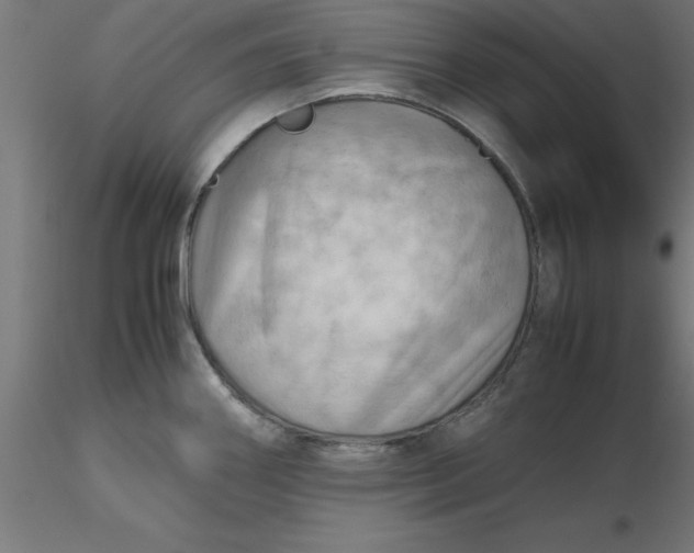 X0000116661290200912291629