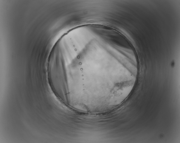 X0000116661291200912291629