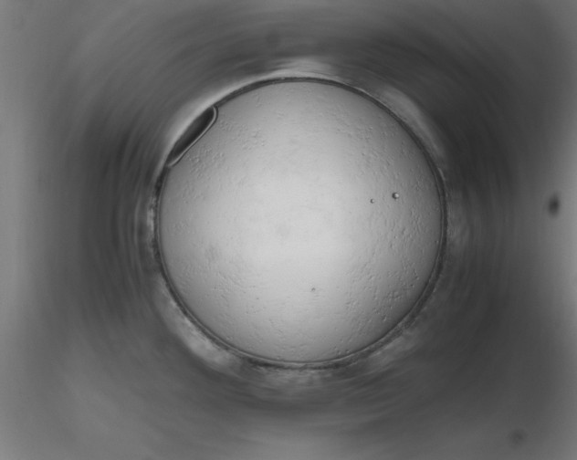 X0000116661292200912291629