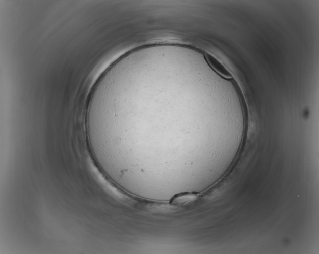 X0000116661293200912291629