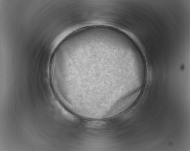 X0000116661294200912291629