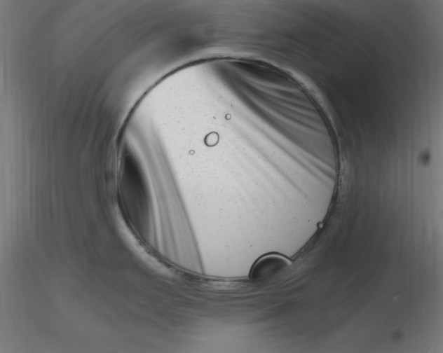 X0000116661295200912291629