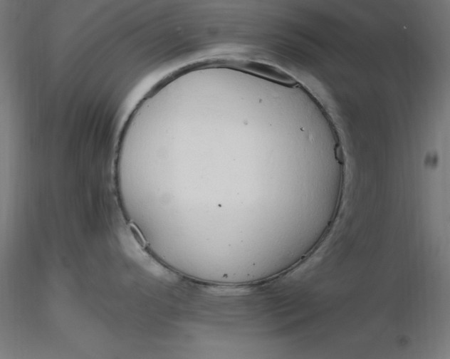 X0000116661296200912291629