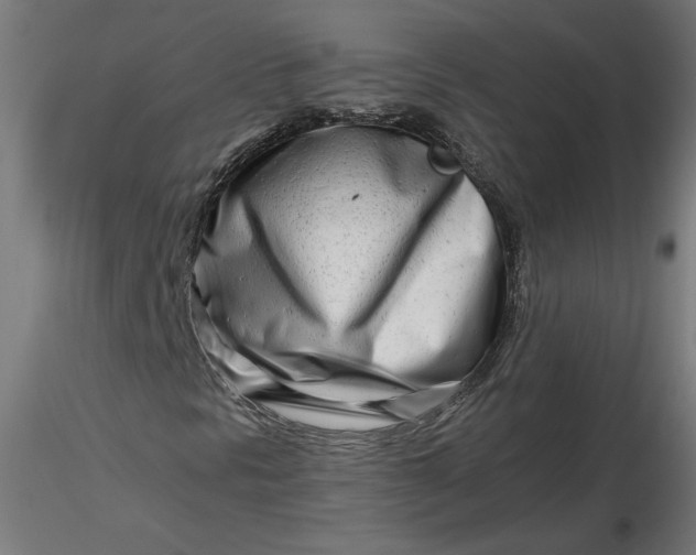 X0000116661297200912291629