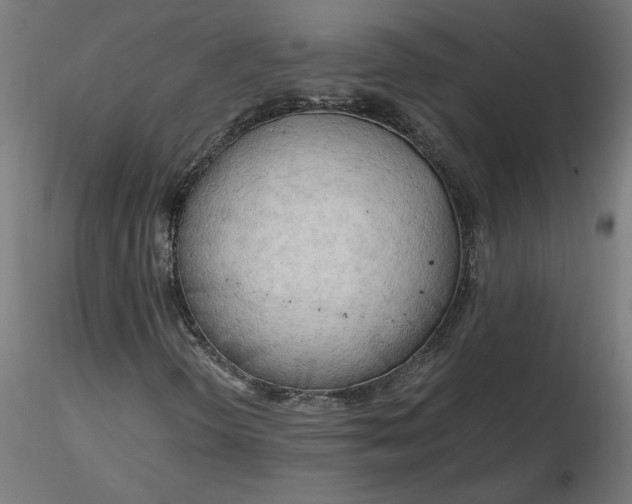 X0000116661298200912291629