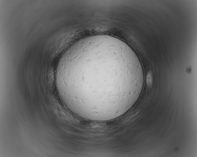 X0000116661299200912291629