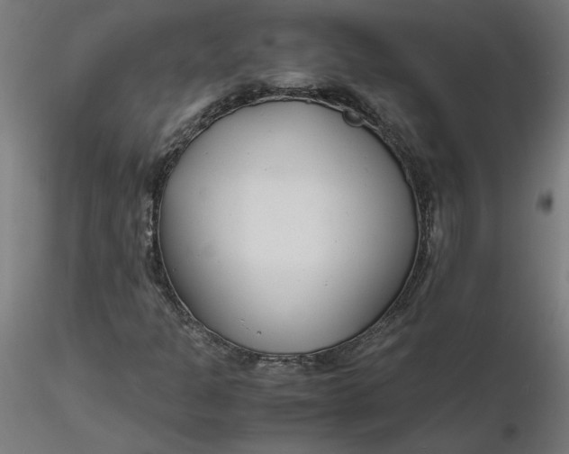 X0000116661301200912291629