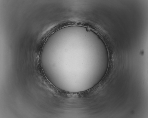 X0000116661302200912291629