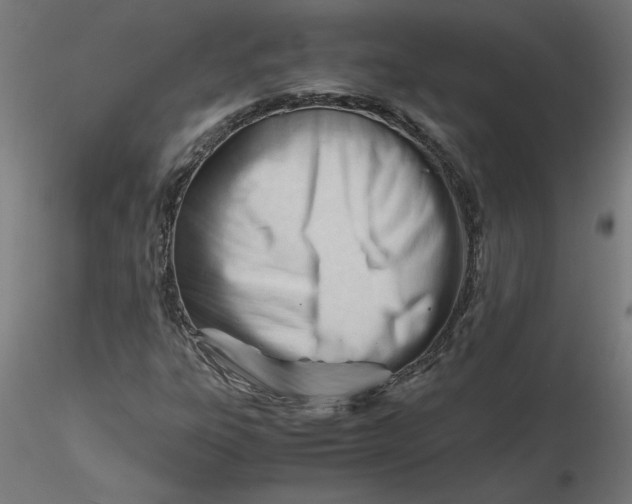 X0000116661303200912291629