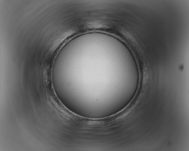 X0000116661305200912291629