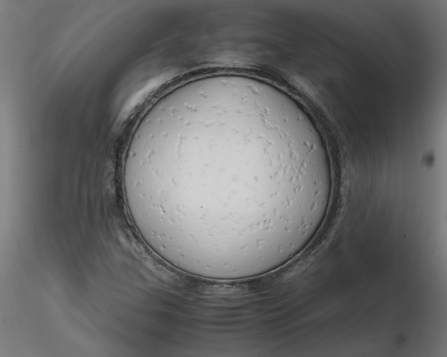 X0000116661307200912291629