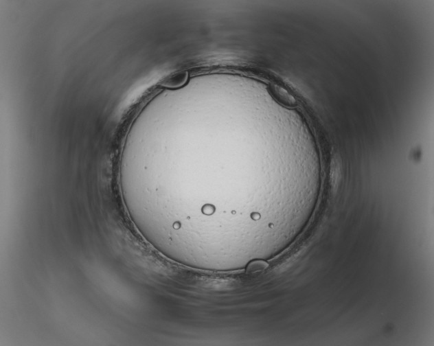 X0000116661309200912291629