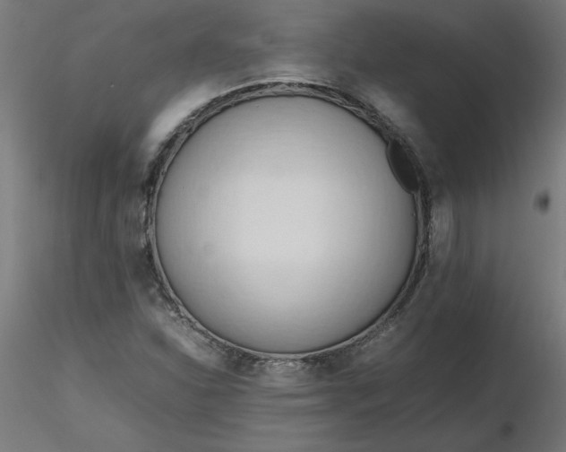 X0000116661310200912291629