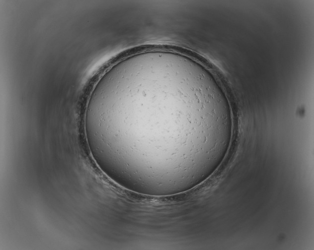 X0000116661311200912291629