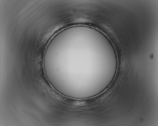 X0000116661313200912291629