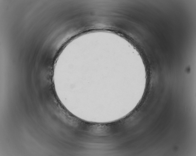 X0000116661314200912291629