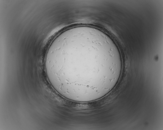 X0000116661315200912291629