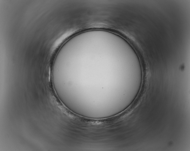 X0000116661317200912291629