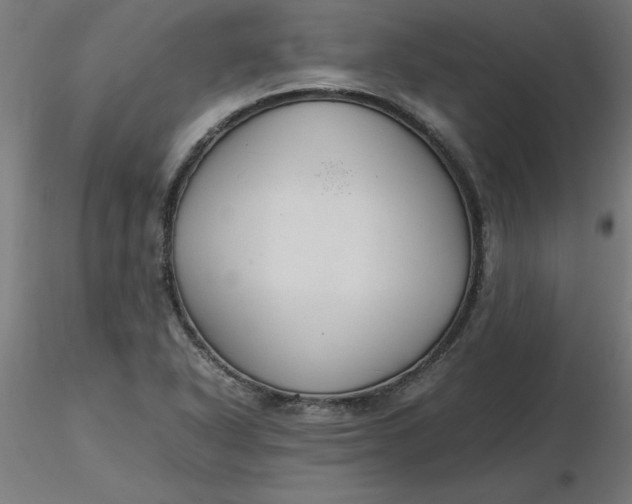 X0000116661318200912291629