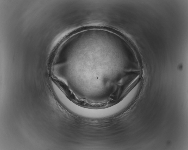 X0000116661319200912291629