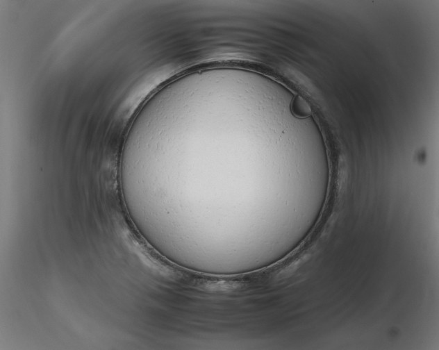 X0000116661321200912291629