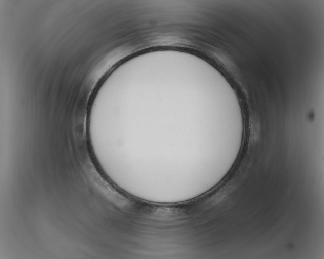 X0000116661322200912291629