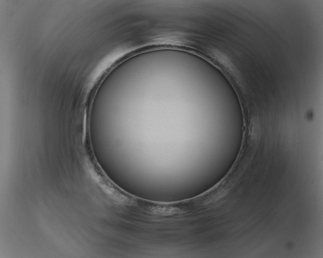 X0000116661323200912291629