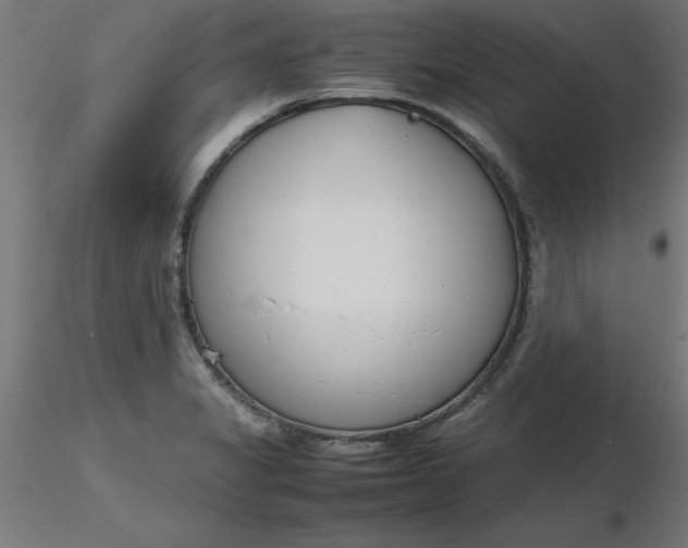 X0000116661325200912291629