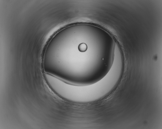 X0000116661326200912291629