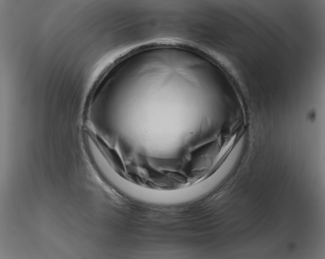 X0000116661327200912291629