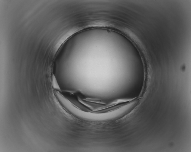 X0000116661329200912291629