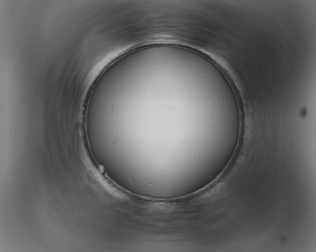 X0000116661333200912291629