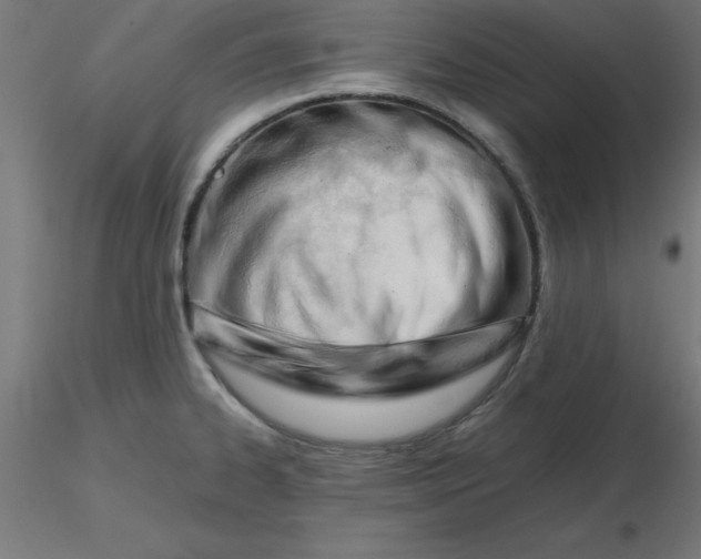 X0000116661334200912291629