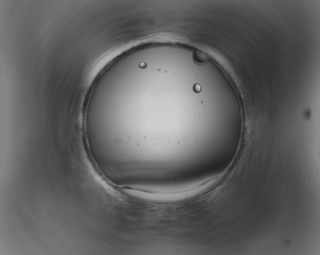 X0000116661335200912291629