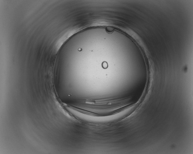 X0000116661337200912291629