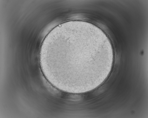 X0000116661338200912291629