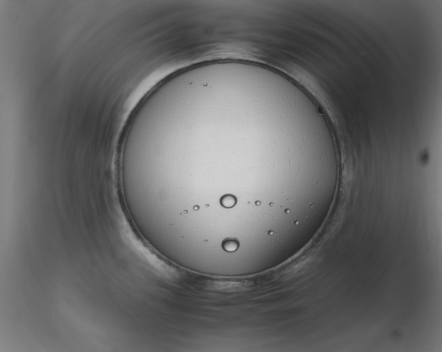 X0000116661339200912291629