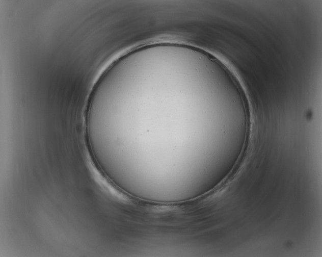 X0000116661341200912291629