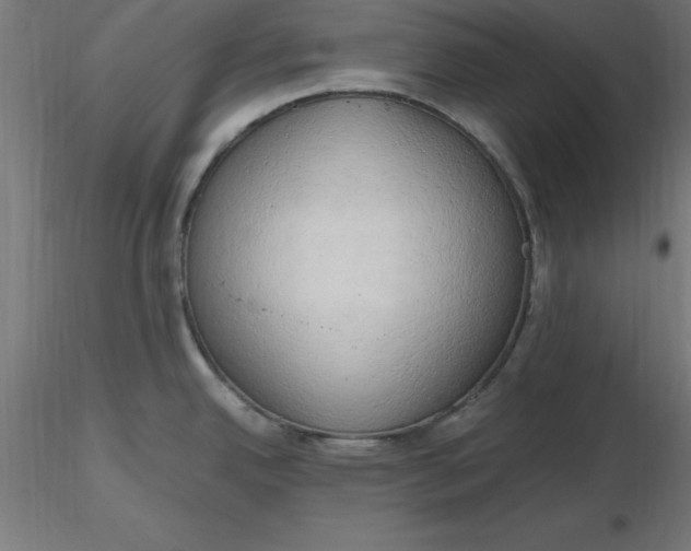 X0000116661342200912291629