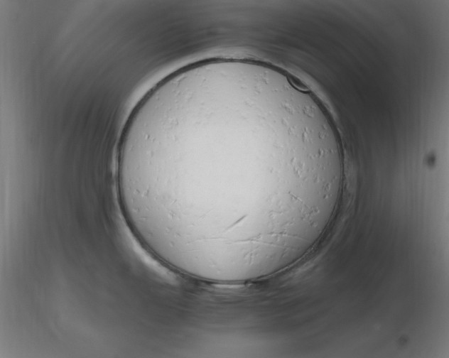 X0000116661343200912291629