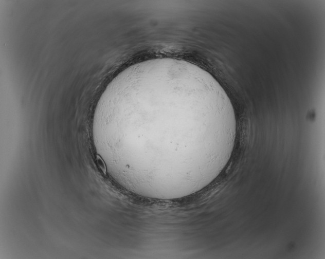 X0000116661345200912291629