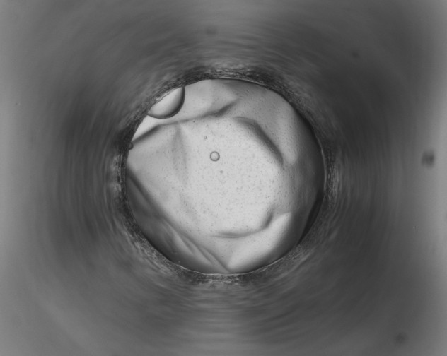 X0000116661346200912291629