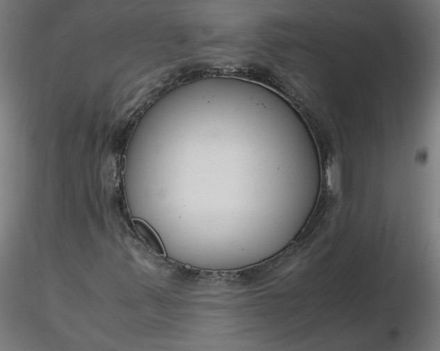 X0000116661347200912291629