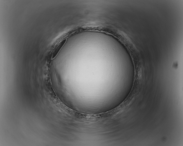 X0000116661350200912291629