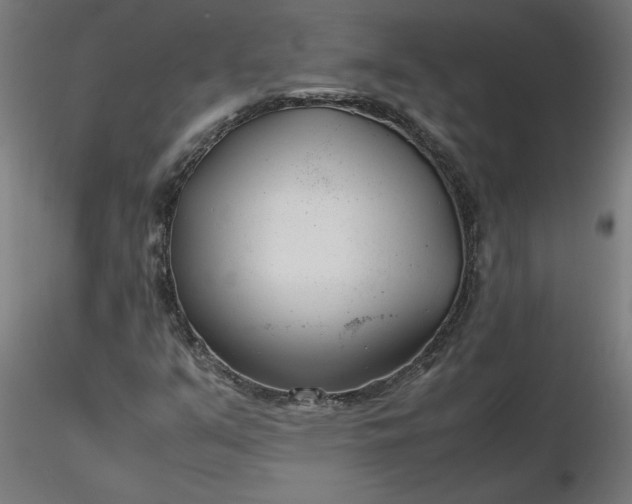 X0000116661351200912291629