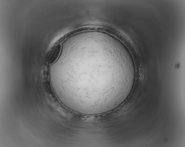 X0000116661352200912291629