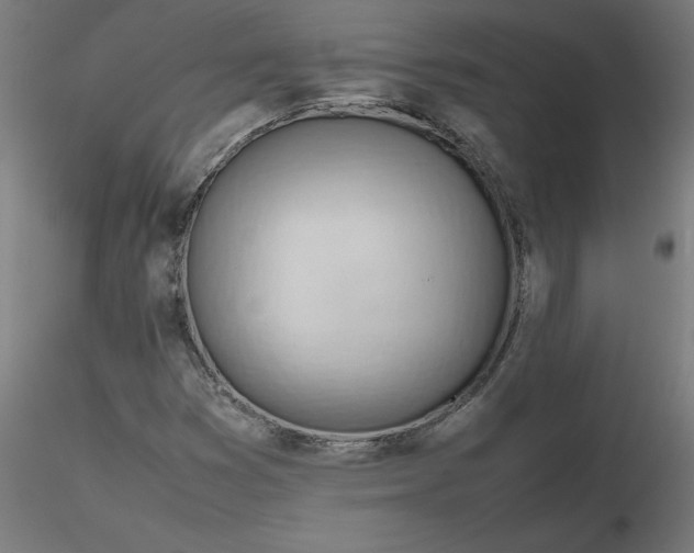 X0000116661353200912291629