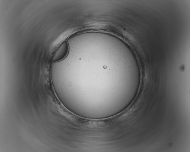 X0000116661354200912291629