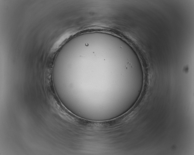 X0000116661355200912291629